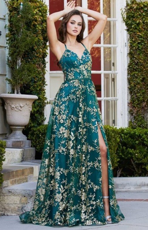 Evening Gown Dress