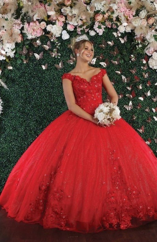 Quinceanera Dress 05