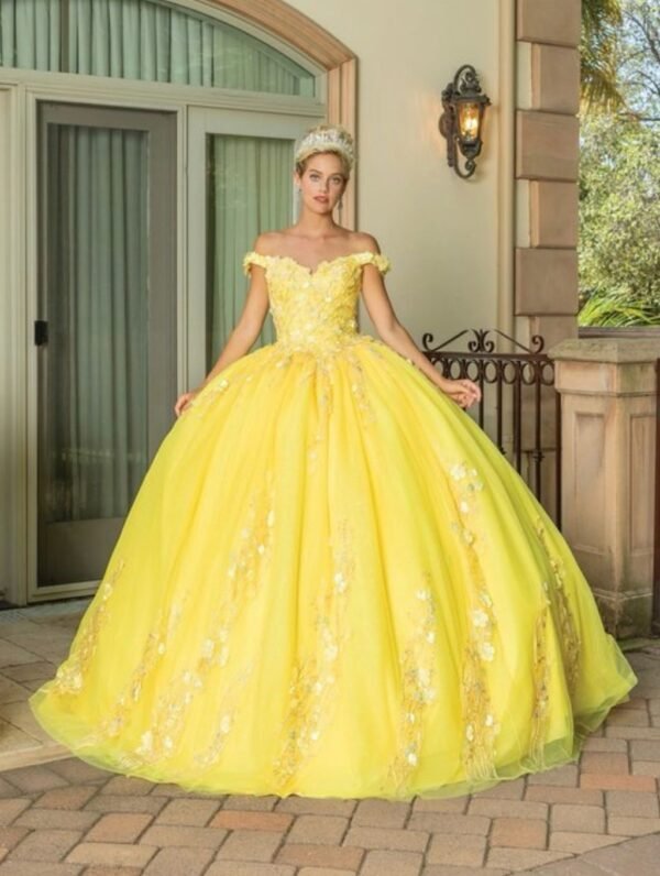 Quinceanera Dress 10